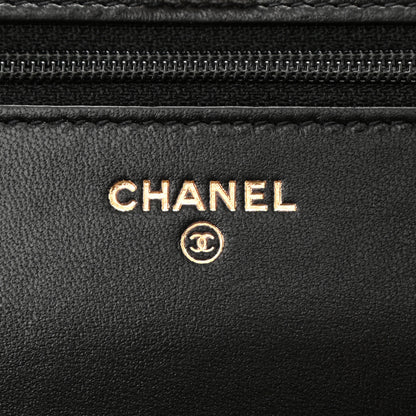 Chanel Lambskin Quilted CC Pearl Crush Wallet on Chain WOC Black 6 of 11