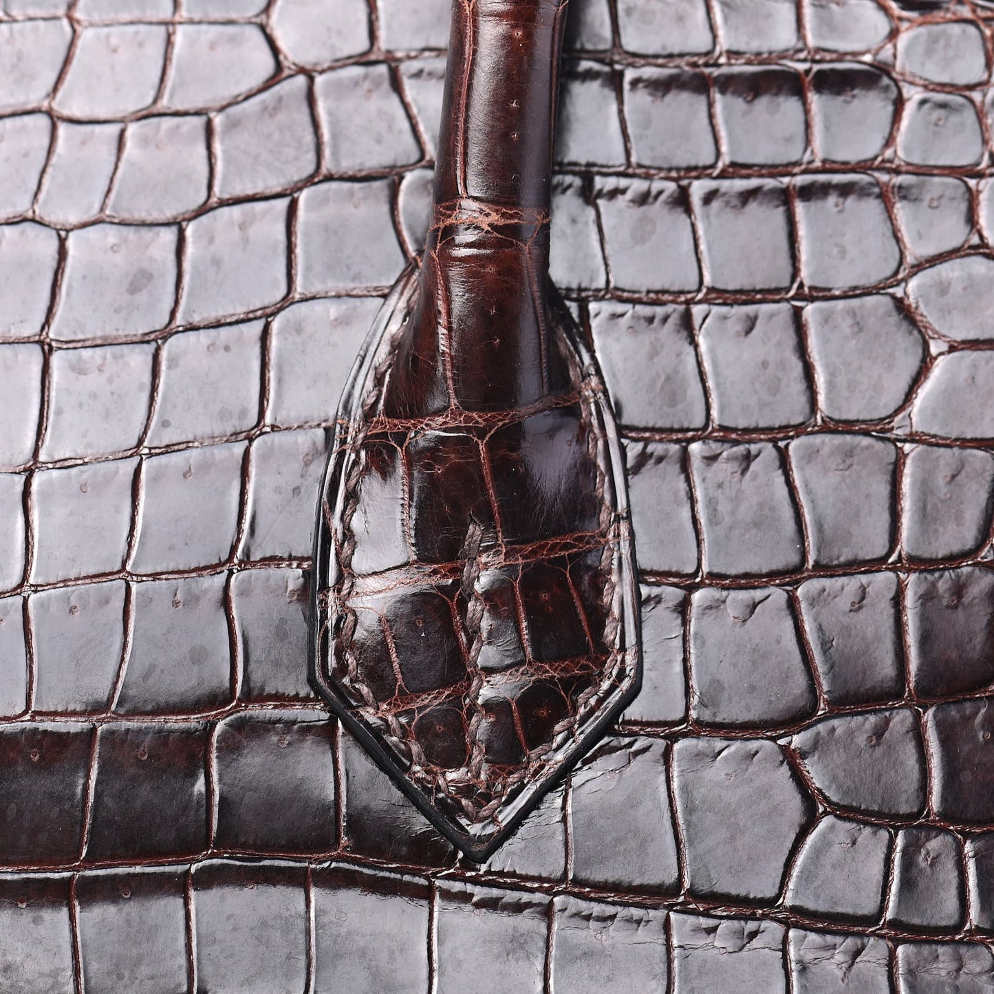 Shiny Porosus Crocodile Birkin 35 Cocoan
