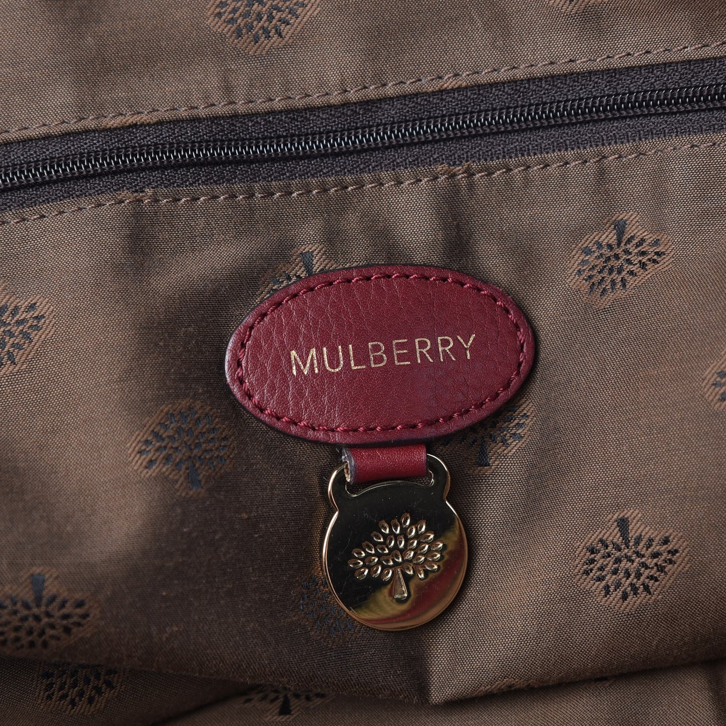 Pebbled Calfskin Medium Del Rey Satchel Black Forest