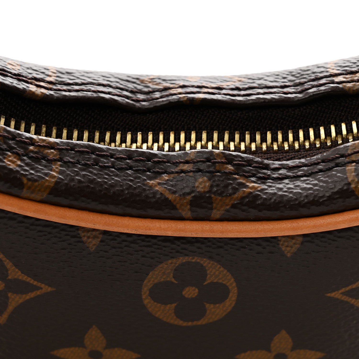 Louis Vuitton Monogram Loop 6 of 10