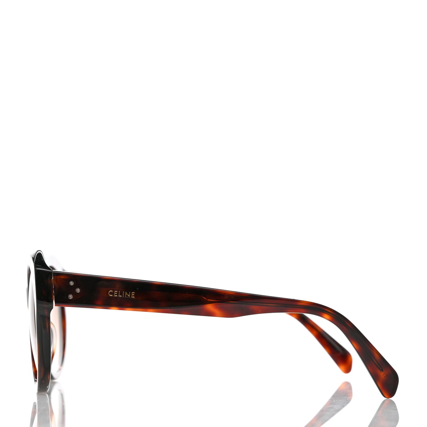 Acetate Sunglasses CL 401861 Havana