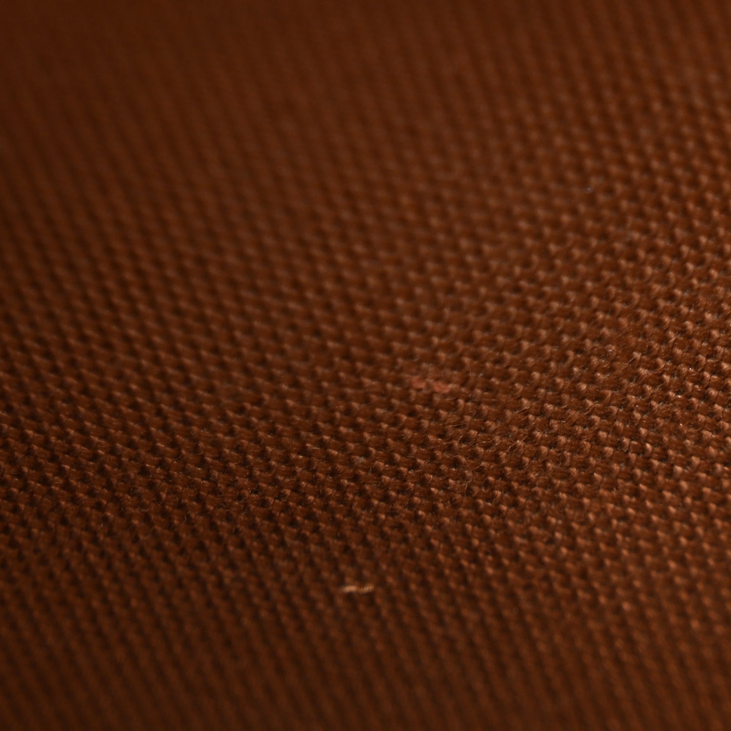 Monogram Trotteur