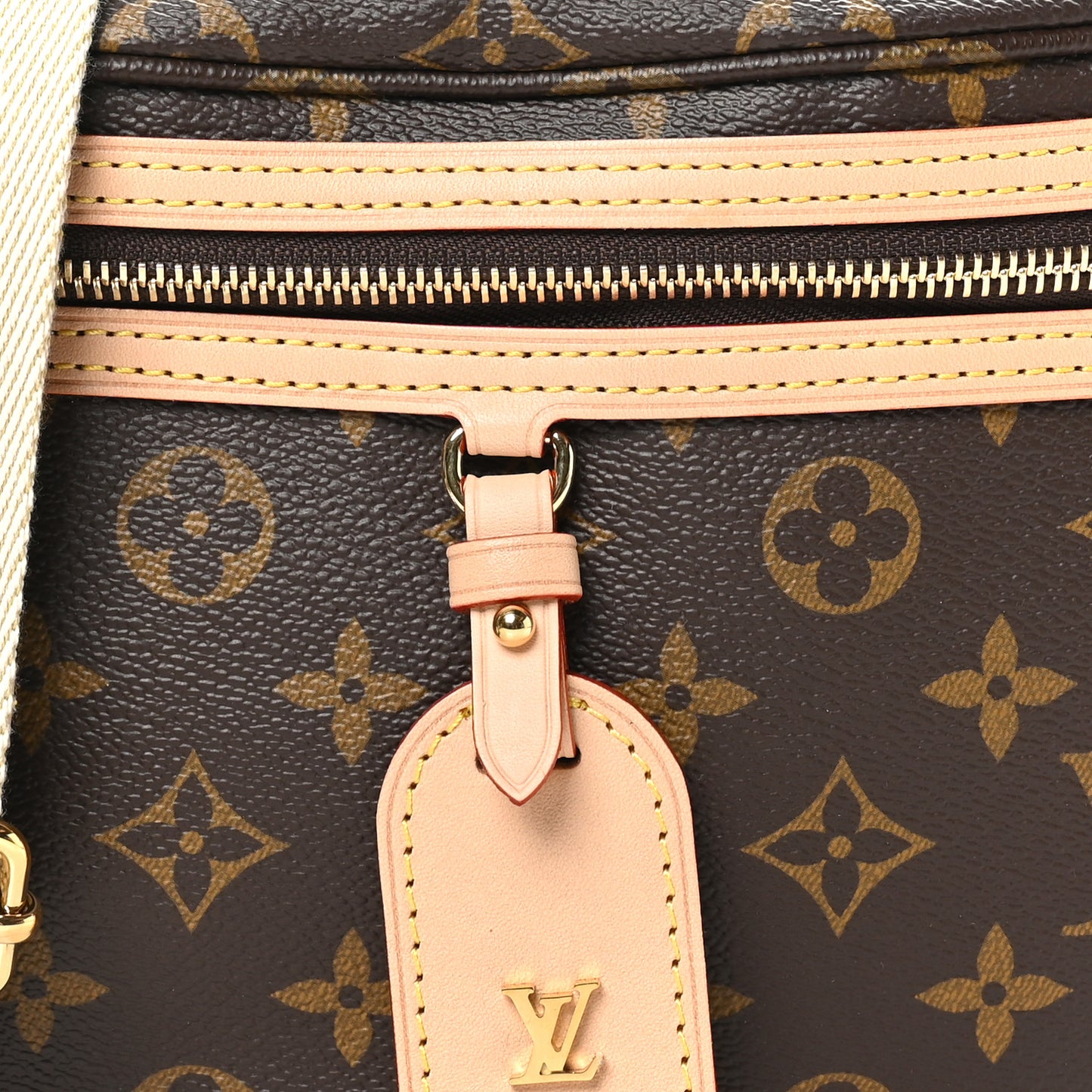 Monogram High Rise Bumbag