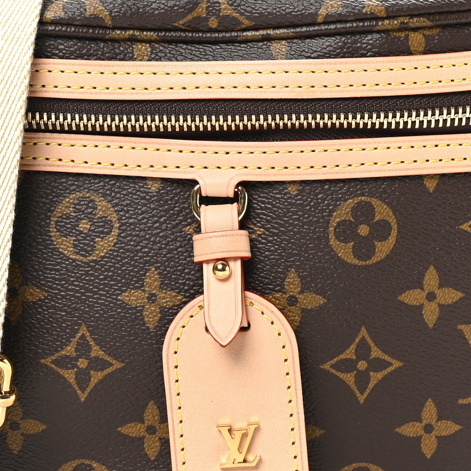 Louis Vuitton Monogram High Rise Bumbag 7 of 9