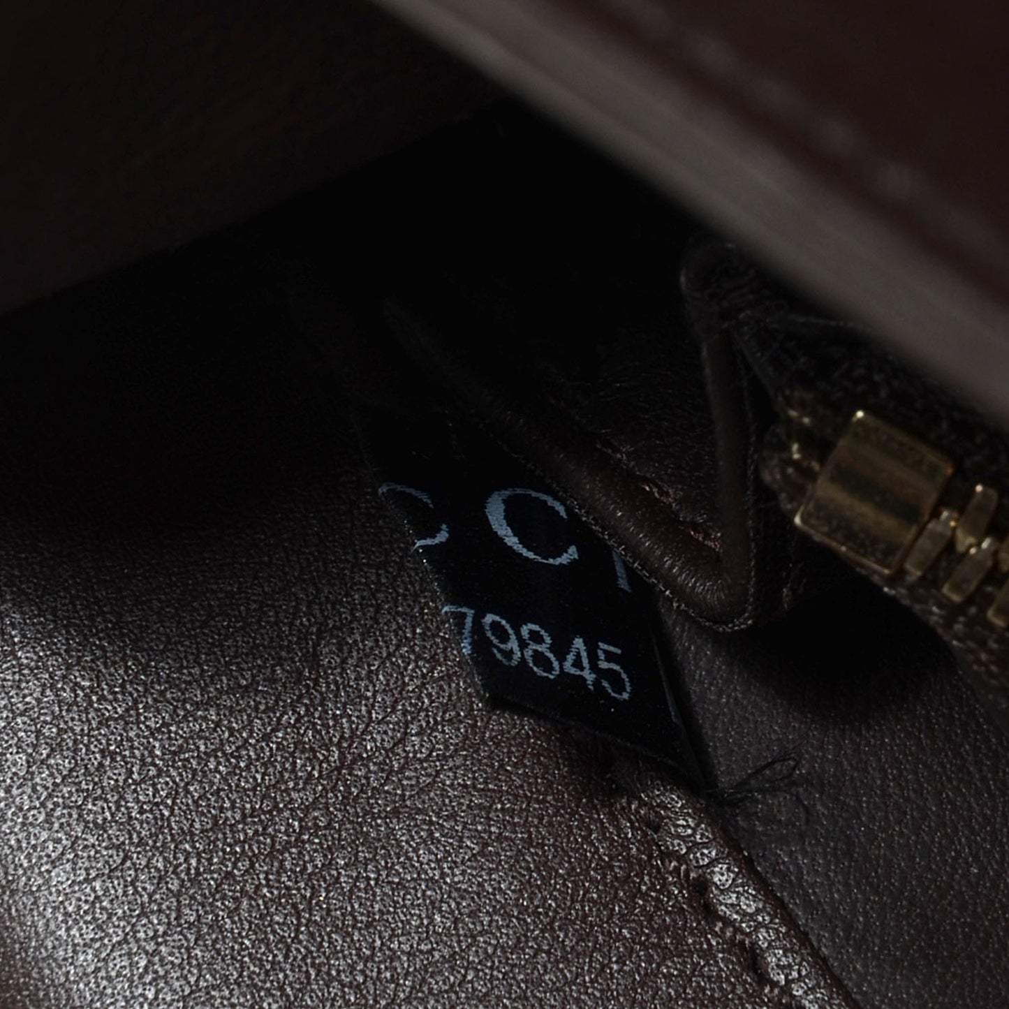 Washed Crocodile 1973 Medium Top Handle Bag Brown
