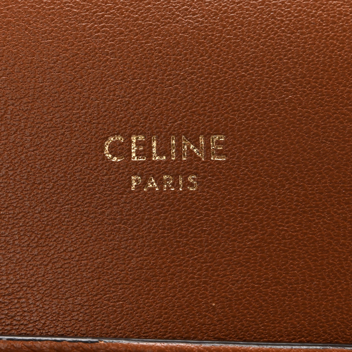Triomphe Canvas Lambskin Phone Pouch With Flap Tan