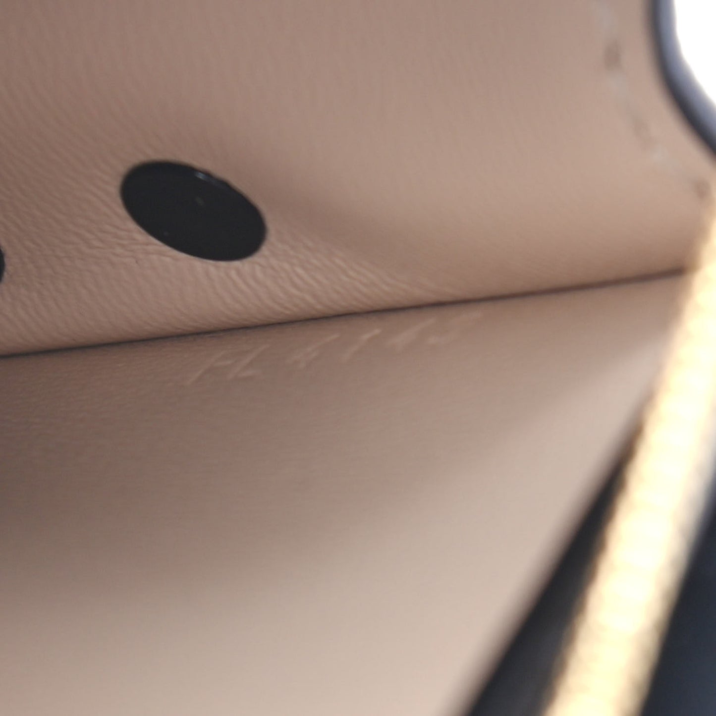 Reverse Monogram Trunk Clutch
