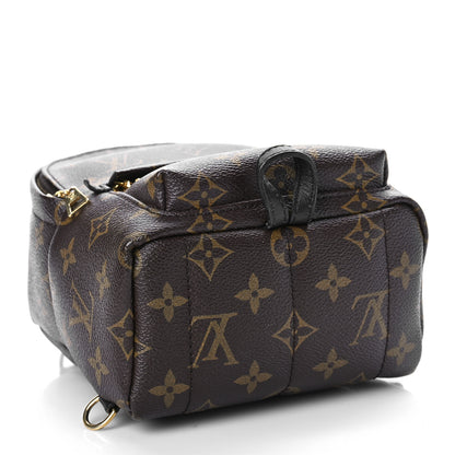 Louis Vuitton Monogram Palm Springs Backpack Mini 4 of 9