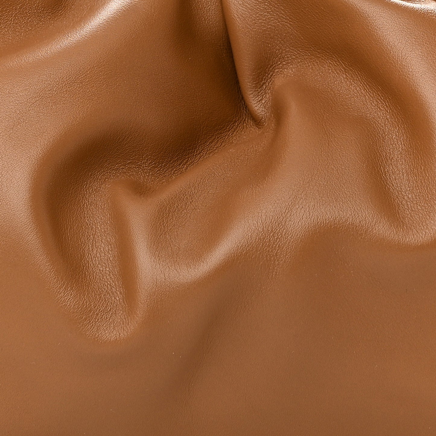 Smooth Butter Calfskin Small The Shoulder Pouch Cammello