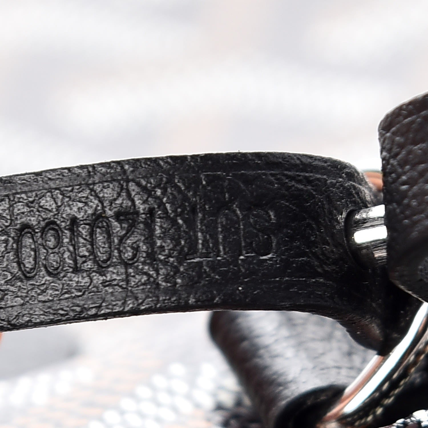 Goyard Goyardine Saint Louis GM Black 9 of 9