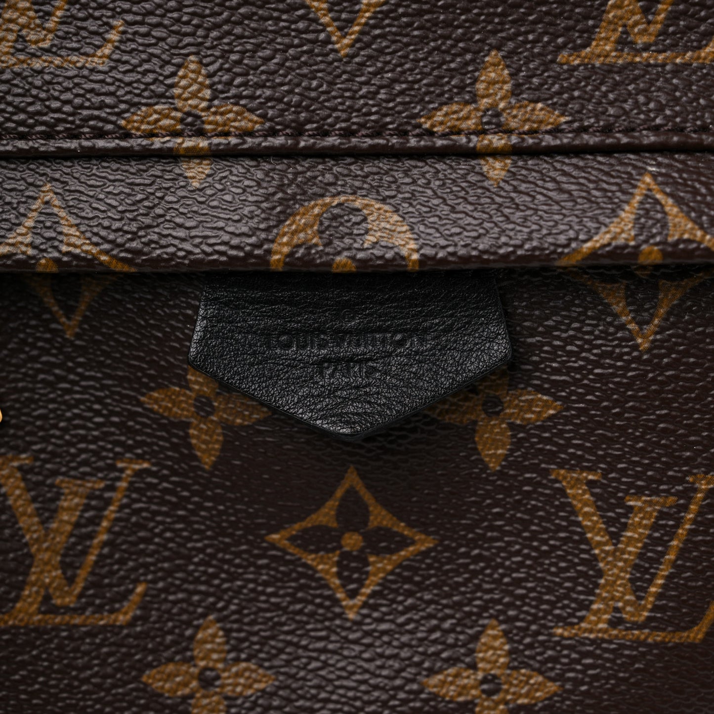 Monogram Palm Springs Backpack PM