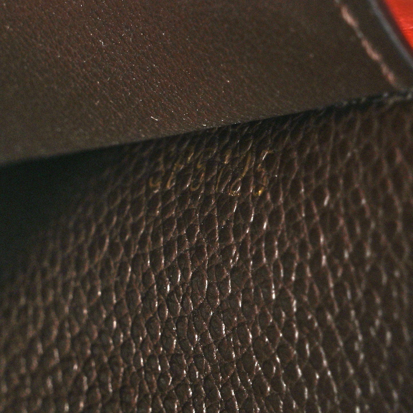 Empreinte Curieuse Compact Wallet Terre