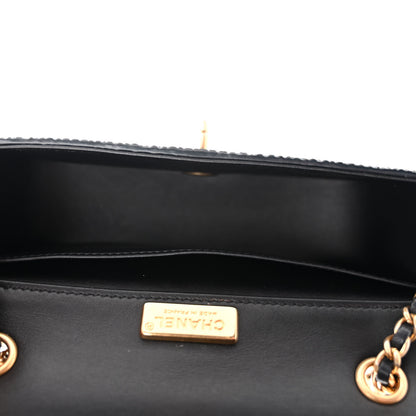 Chanel Galuchat Stingray Mini Flap Black 5 of 15