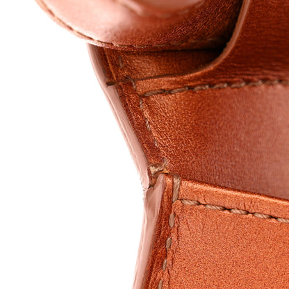 Delvaux Metallic Calfskin Mini Brillant Satchel Camel 14 of 14