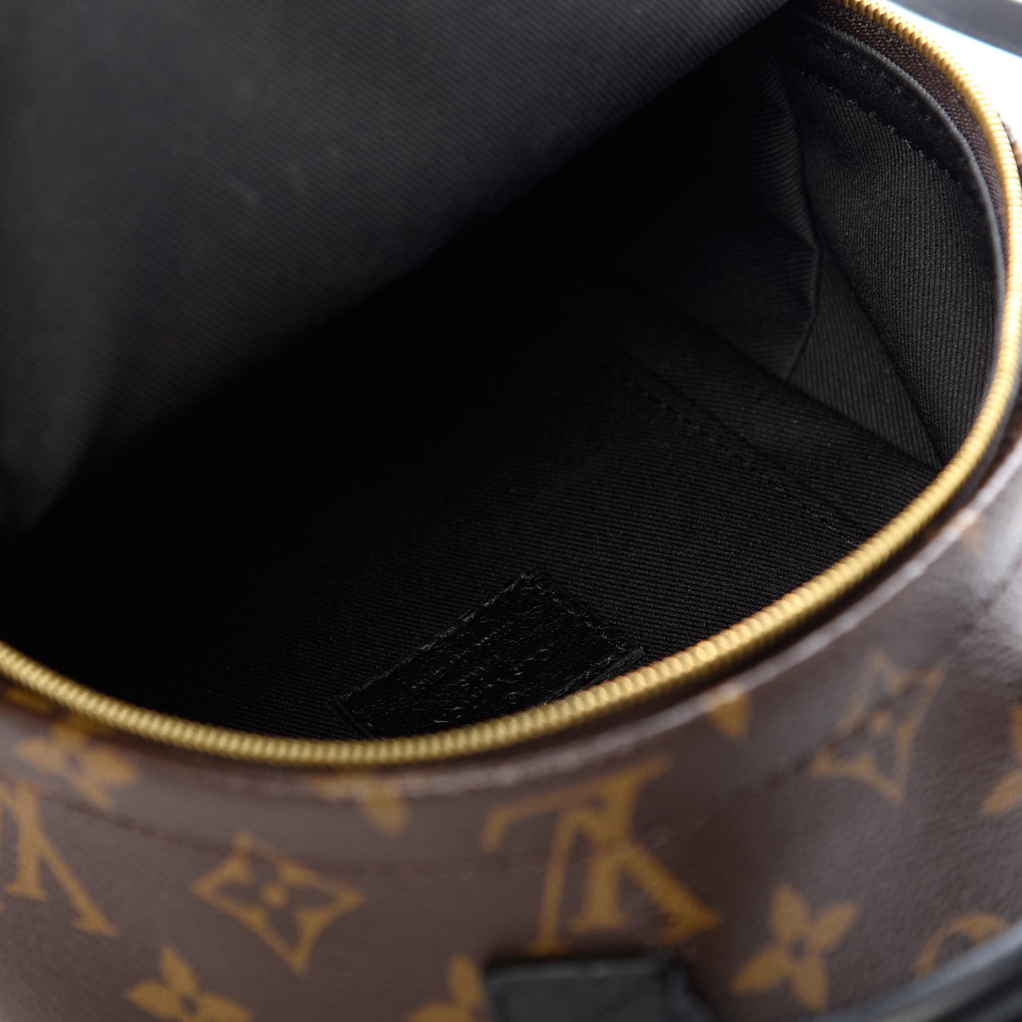 Monogram Palm Springs Backpack Mini