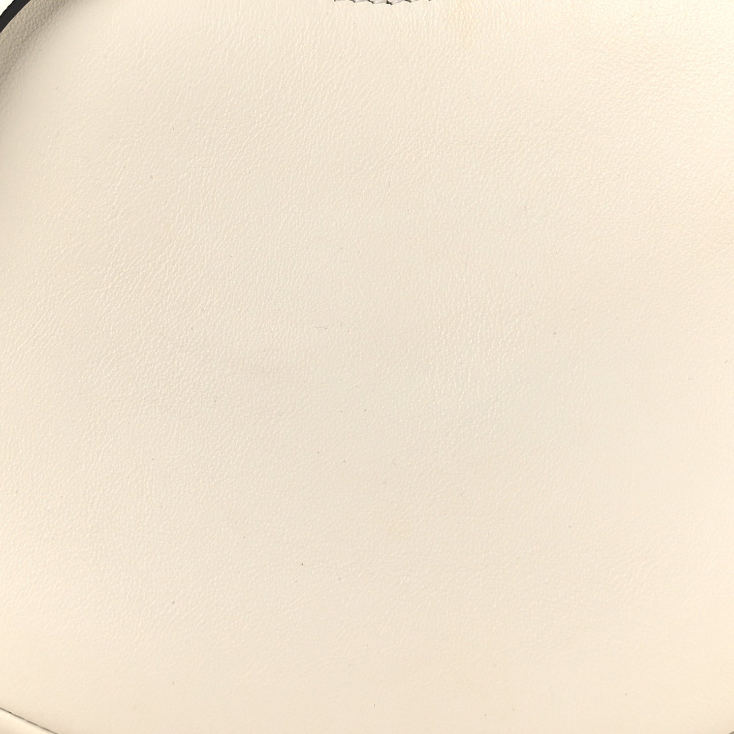 Vitello Grace Matte Mini Fendigraphy Hobo Bag White Ice