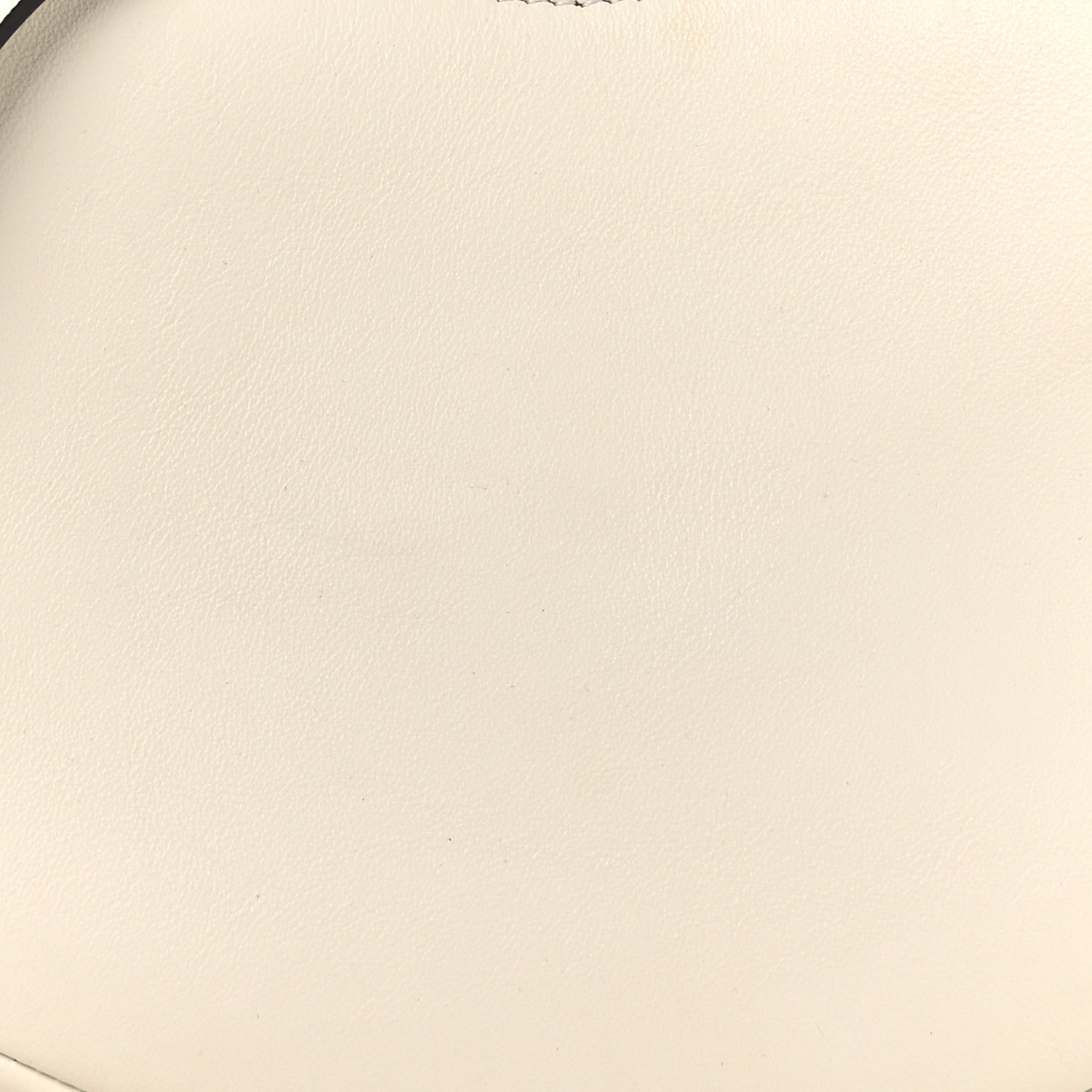 Fendi Vitello Grace Matte Mini Fendigraphy Hobo Bag White Ice 8 of 12