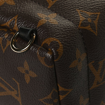 Louis Vuitton Monogram Palm Springs Backpack Mini 10 of 11