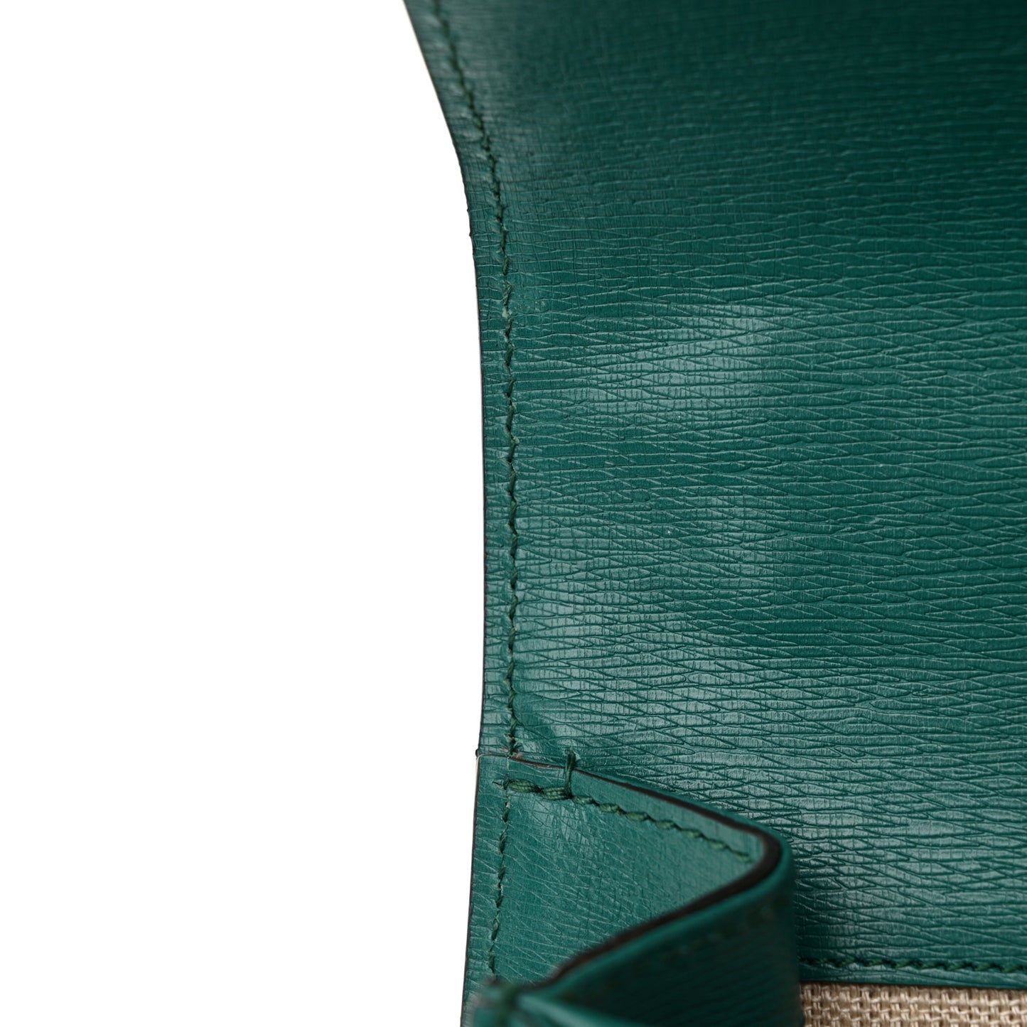 Calfskin Blooms Print Medium Dionysus Shoulder Bag Bright Emerald Multicolor