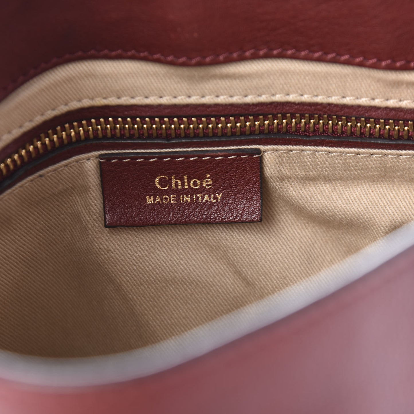 Suede Calfskin Medium Faye Backpack Sienna Red
