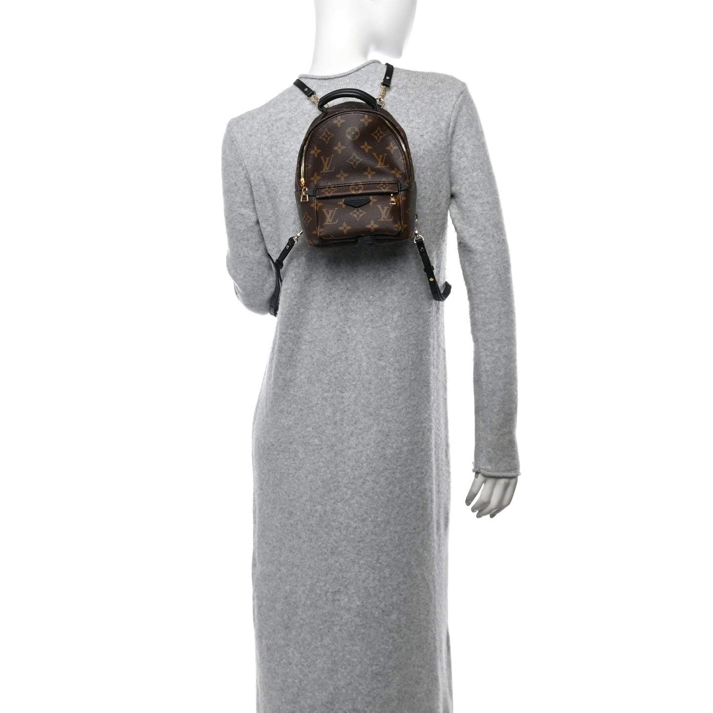 Monogram Palm Springs Backpack Mini