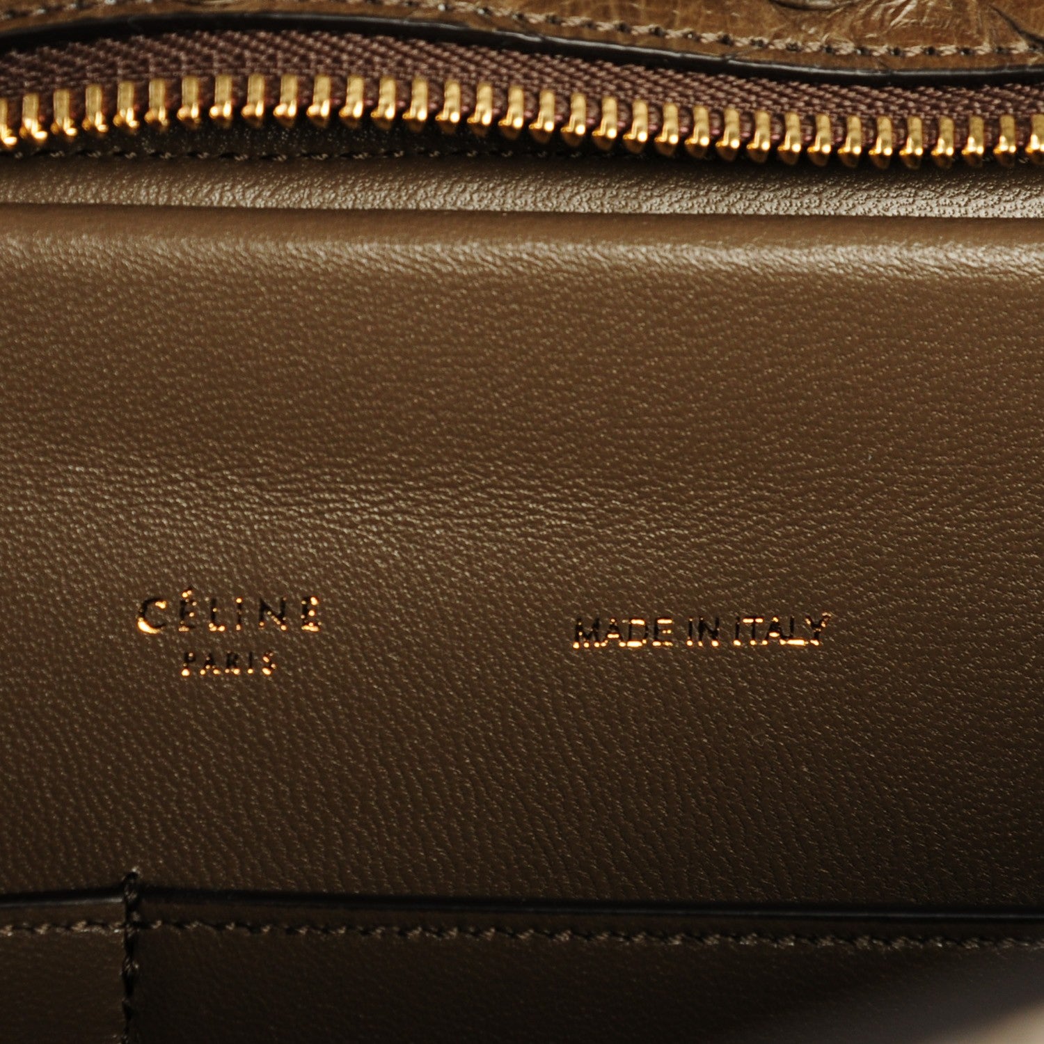 Celine Python Medium Trapeze Dark Khaki 6 of 7