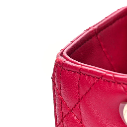 Christian Dior Lambskin Cannage Medium Lady Dior Fuchsia 14 of 14