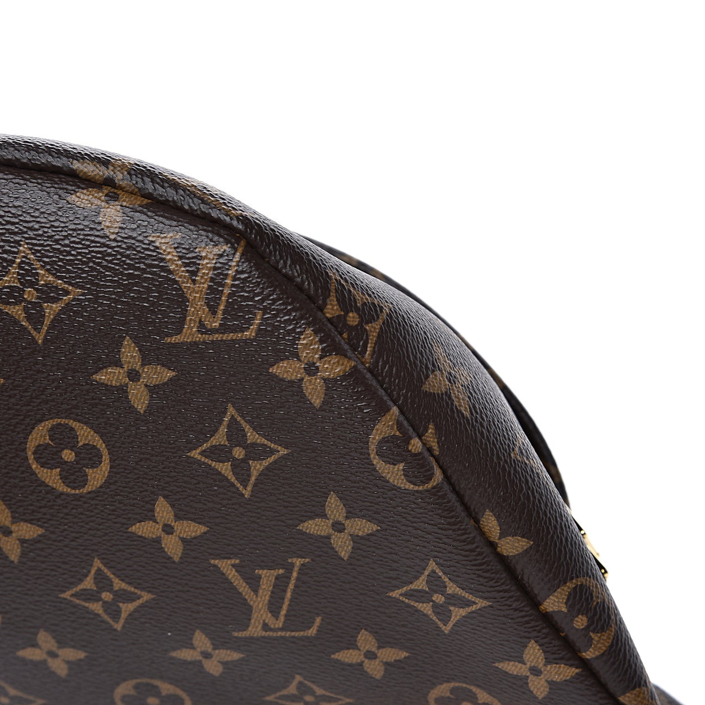 Monogram Bumbag