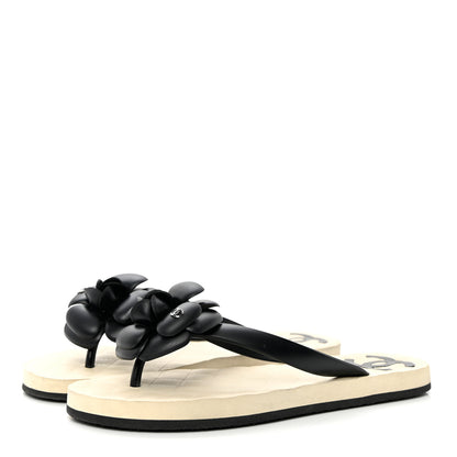 Chanel PVC Camellia Thong Sandals 37 Black 3 of 10
