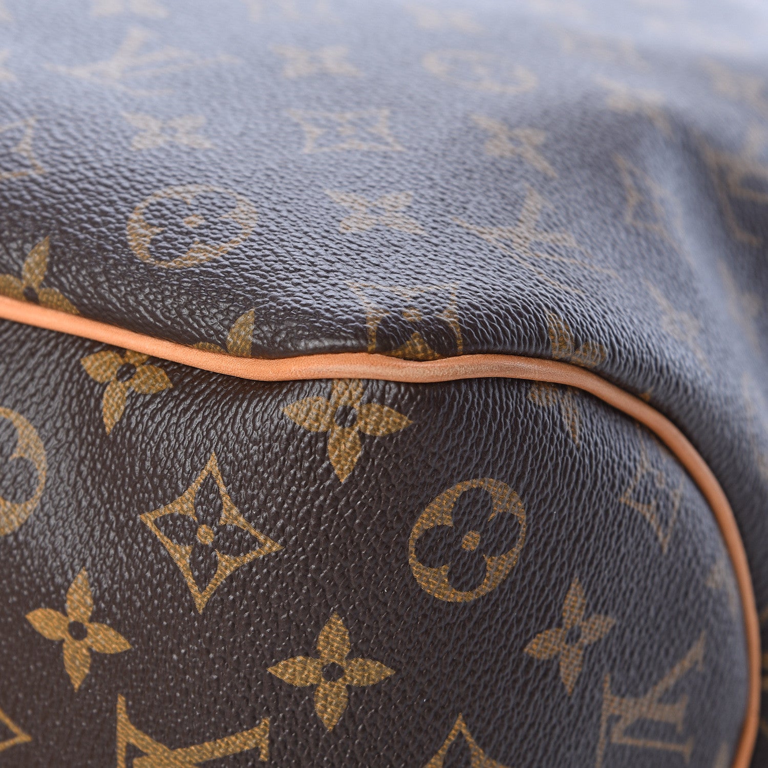 Louis Vuitton Monogram Delightful PM 11 of 16