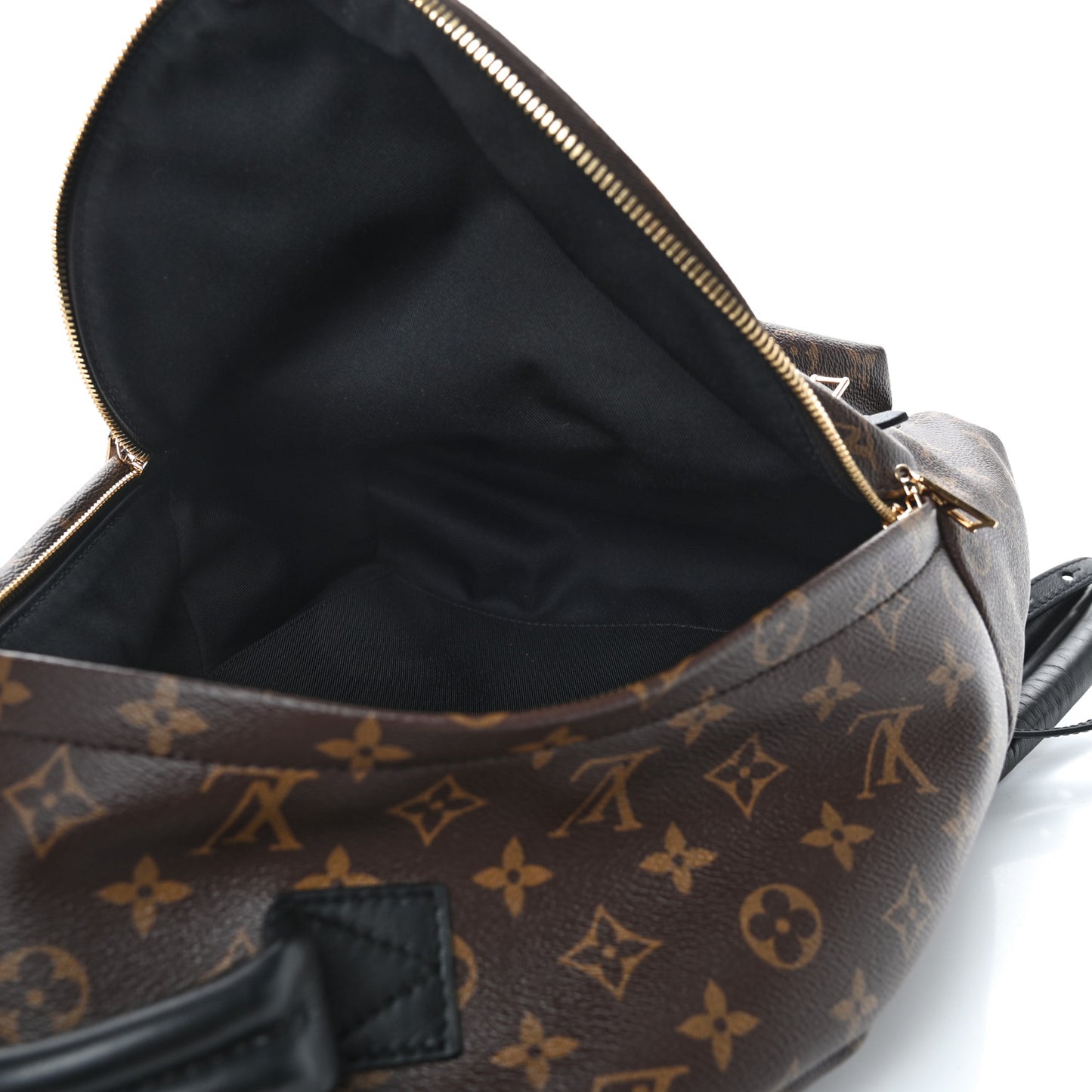 Monogram Palm Springs Backpack MM