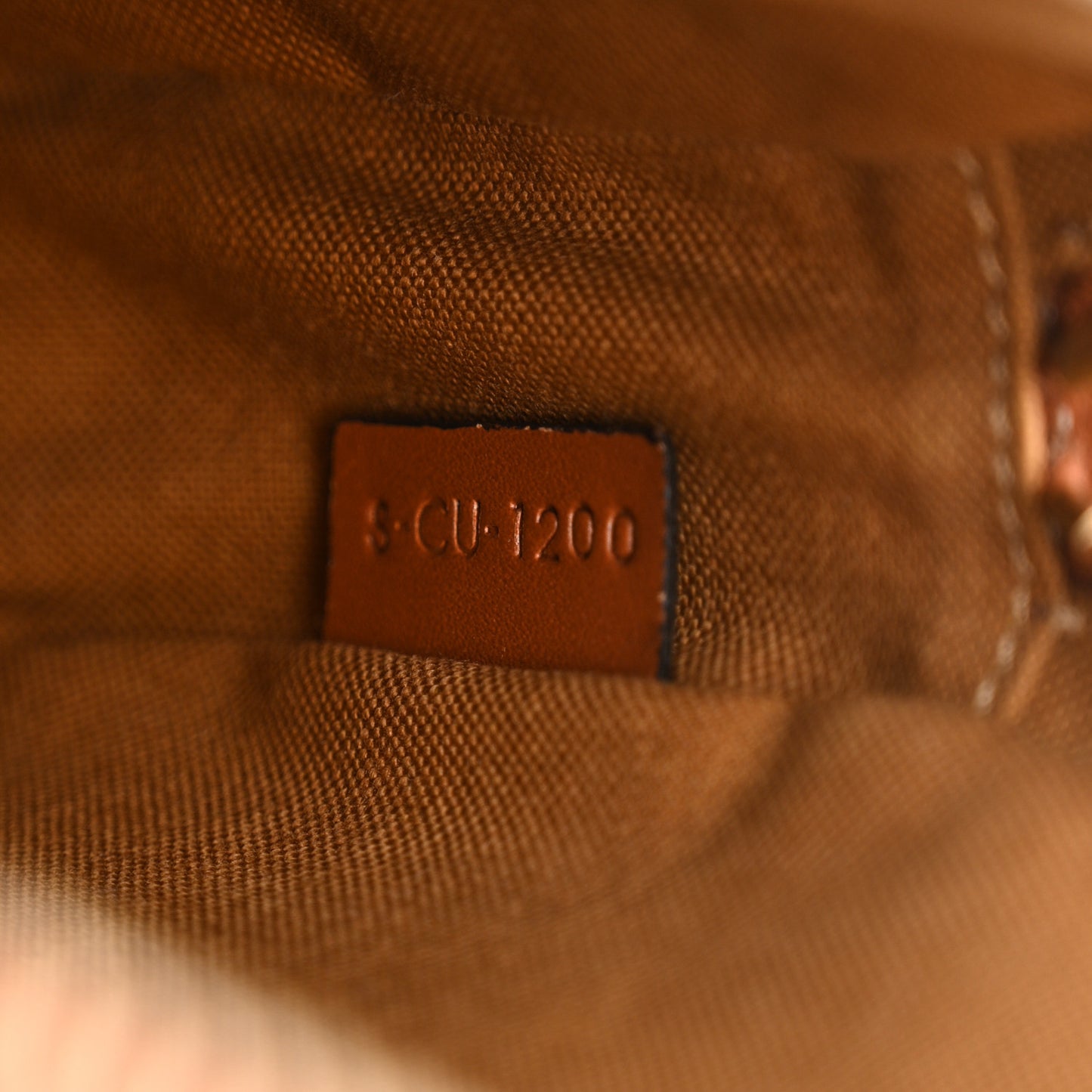 Triomphe Canvas Small Camera Bag Tan