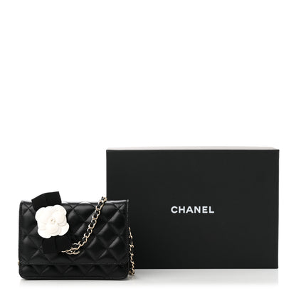 Chanel Lambskin Quilted Mini Camellia Bow Wallet On Chain WOC Black 10 of 10