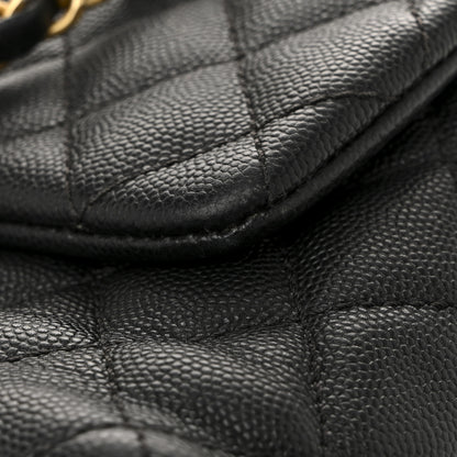 Chanel Caviar Lizard Quilted Small Coco Handle Flap Black 14 of 17