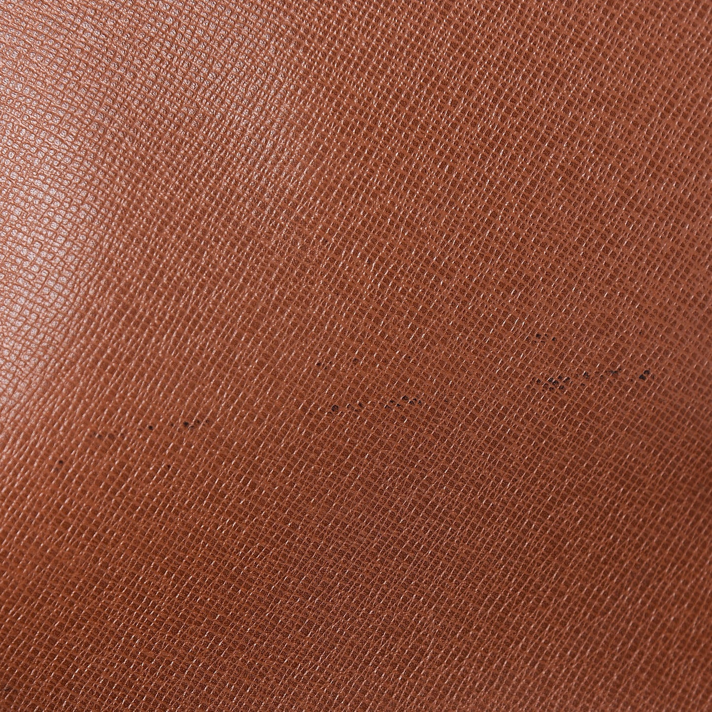 Monogram Saint Cloud MM