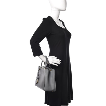 Fendi Vitello Elite Petite 2Jours Tote Grigio Grigio Chiaro 2 of 13