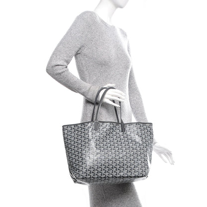 Goyard Goyardine Saint Louis PM Grey 2 of 6