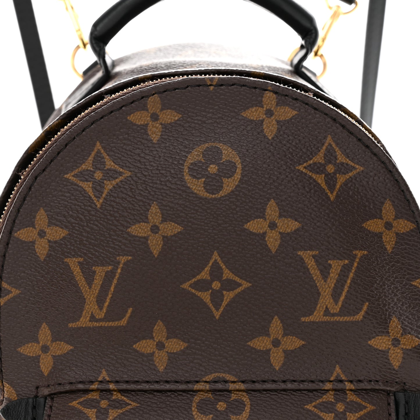 Monogram Palm Springs Backpack Mini