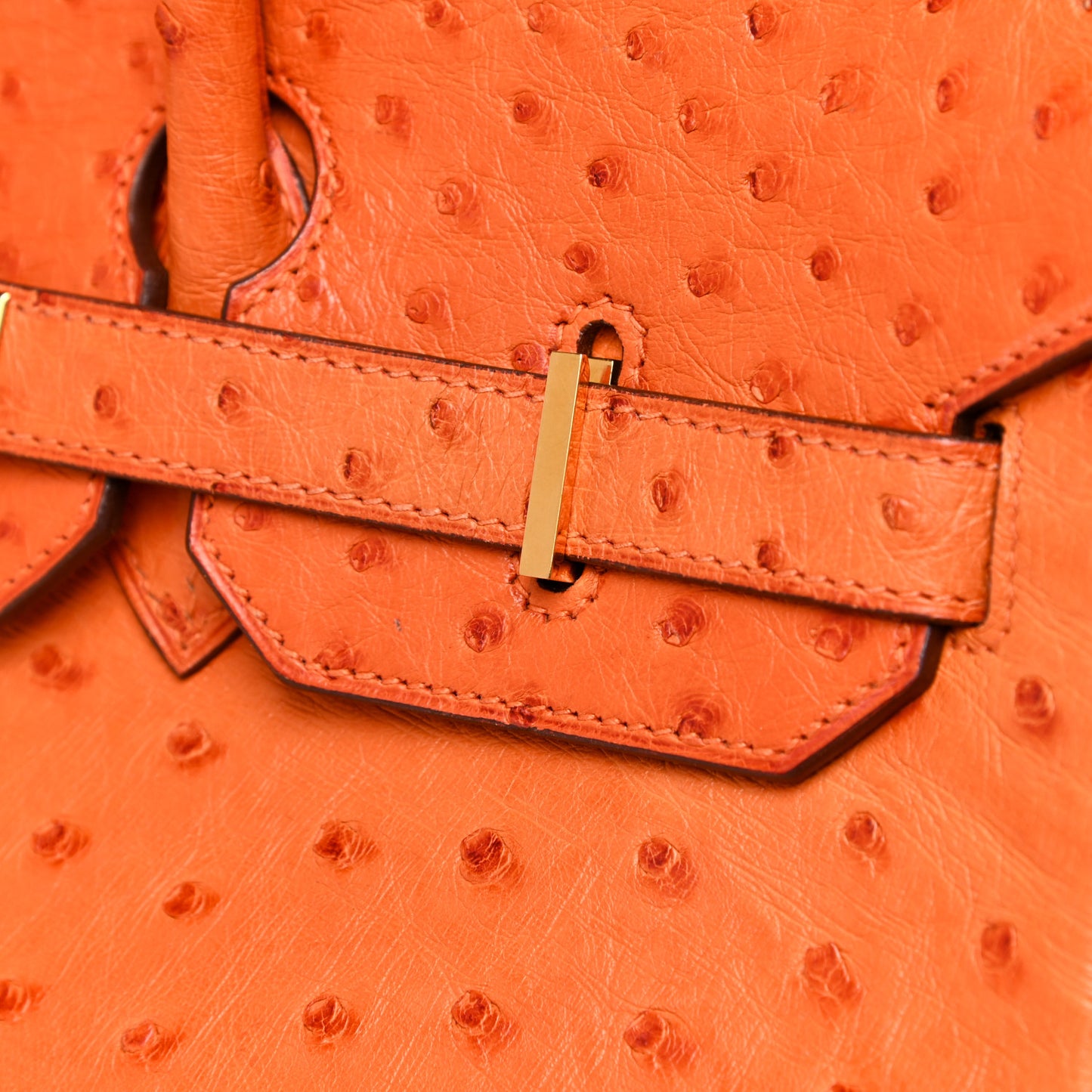 Ostrich Birkin 35 Orange
