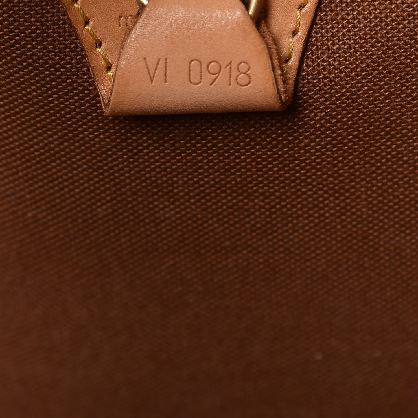 Monogram Ellipse GM Shopping Bag