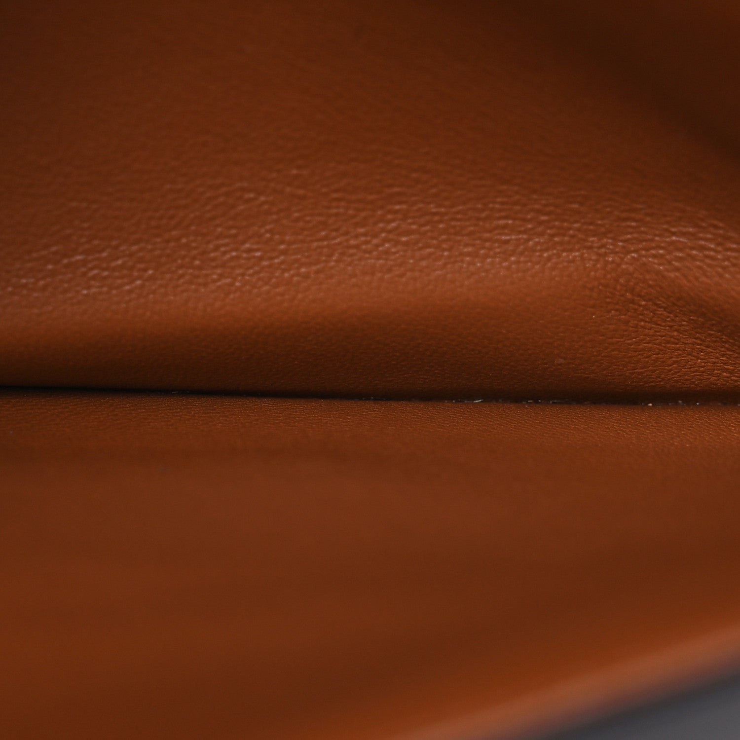 Celine Calfskin Triomphe Canvas Medium Triomphe Tan 5 of 17