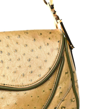 Christian Dior Ostrich Double Saddle Bag Beige Green 9 of 13