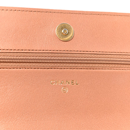 Chanel Lambskin Quilted Chanel 19 Wallet On Chain WOC Brown 6 of 12