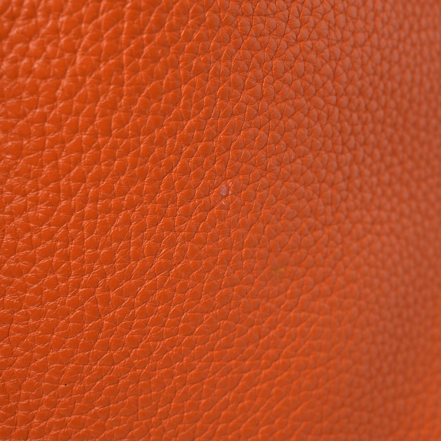 Taurillon Clemence Evelyne III GM Orange