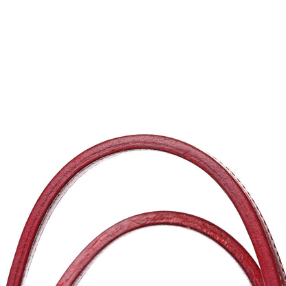 Goyard Goyardine Saint Louis PM Red 17 of 17