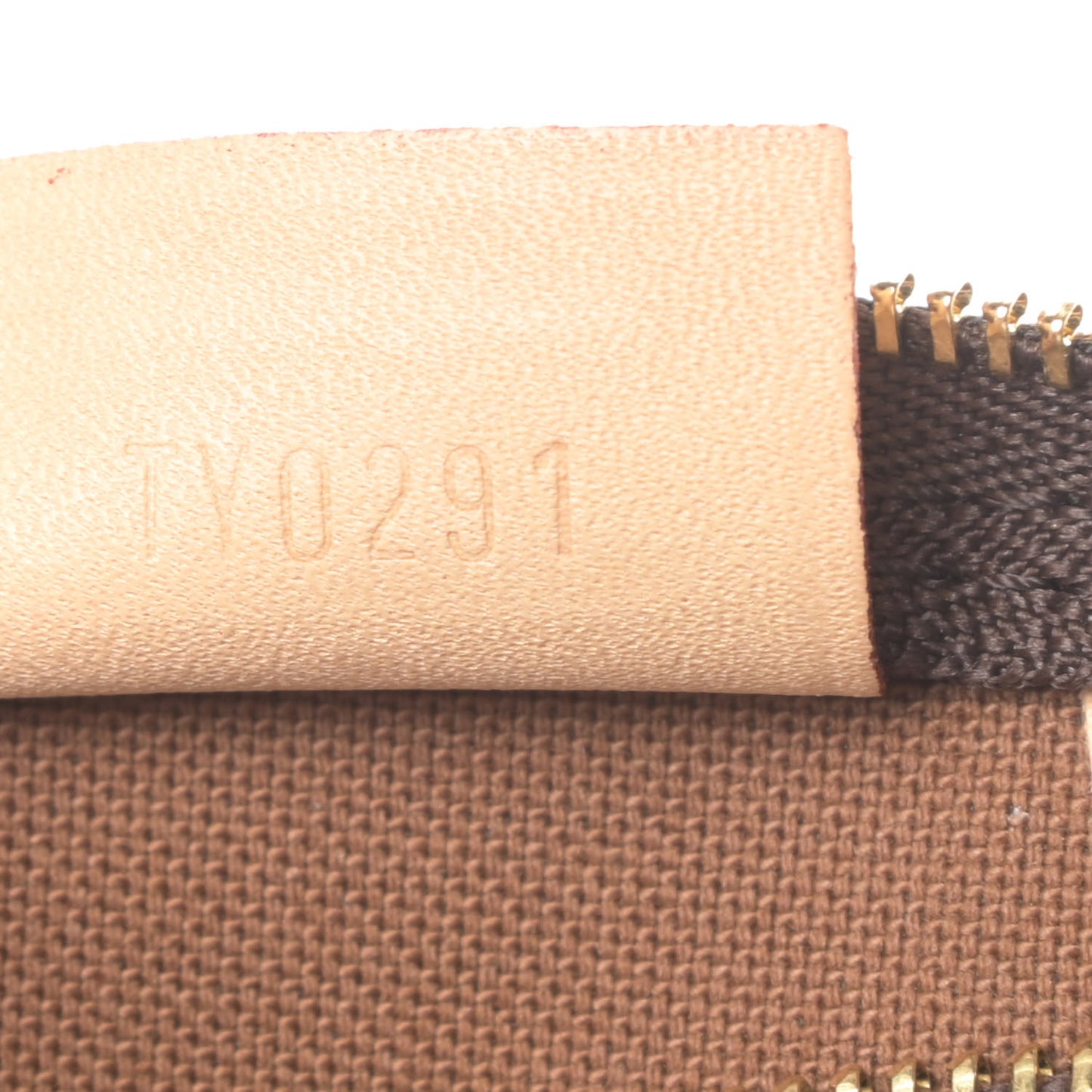 Monogram Nano Speedy