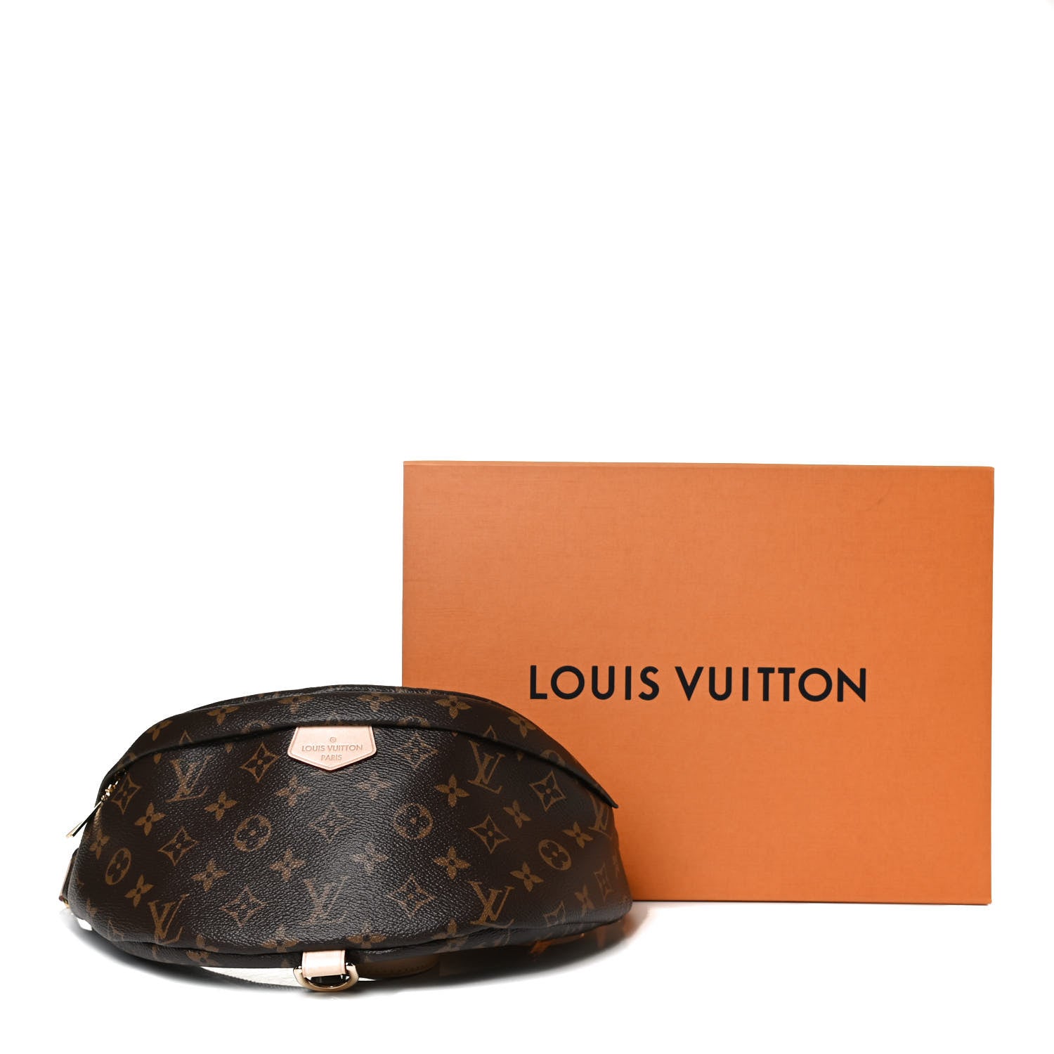 Louis Vuitton Monogram Bumbag 14 of 14