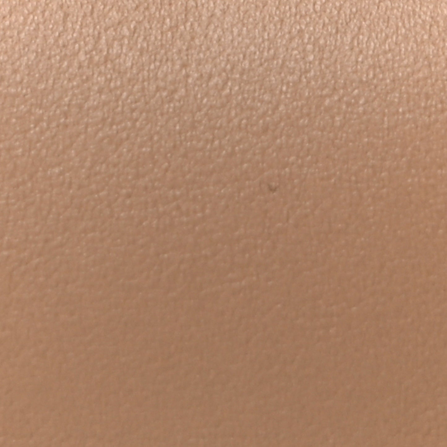 Natural Smooth Calfskin Mini Rodeo Top Handle Handbag Latte