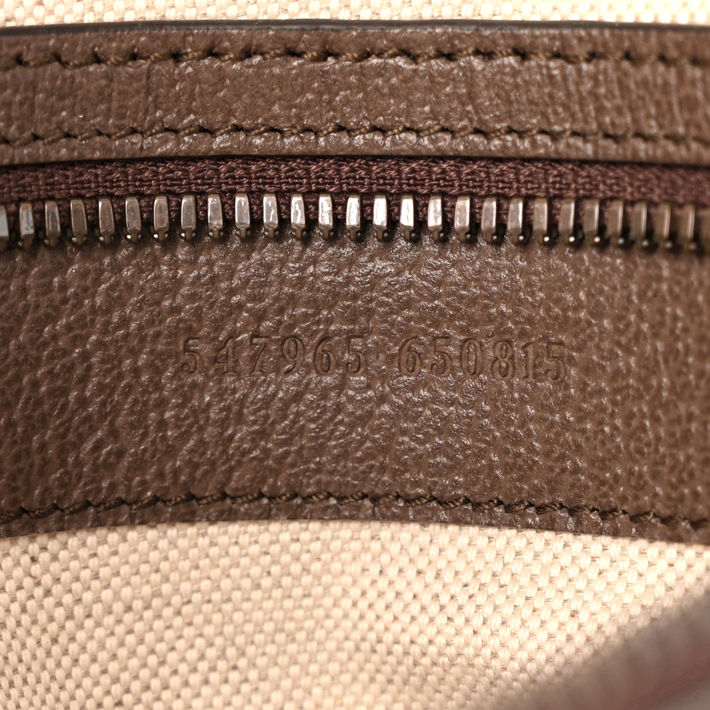 GG Supreme Monogram Calfskin Web Small Ophidia Day BackpacK Beige Ebony New Acero
