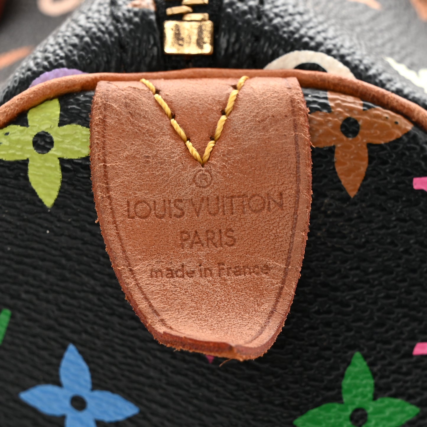 Monogram Multicolor Speedy 30 Black